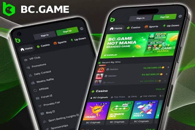 The Ultimate Guide to BC.Game Platform The Ultimate Guide to BC.Game Platform